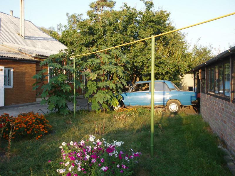 Полтавская обл., Лохвицкий район, г. Лохвица, Ленина ул., 10
