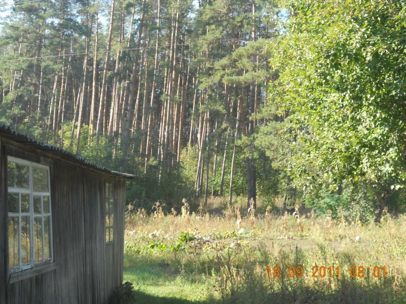 Харківська обл., Балаклійський район, смт Андріївка, Мира вул., 5