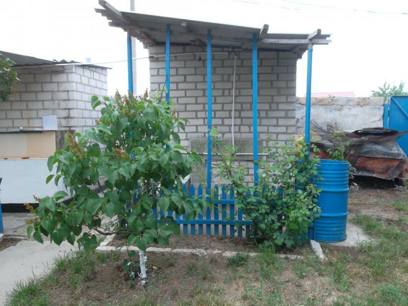 Херсонська обл., Голопристанський район, с. Залізний Порт, Маячный пров., 11