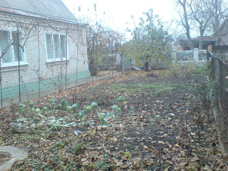 Черкасская обл., Городищенский район, г. Городище, Карбышева ул., 19