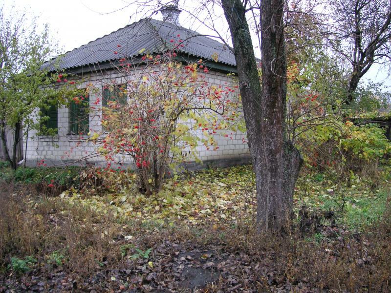 Черкаська обл., Черкаський район, с. Руська Поляна, Мичурина вул., 36