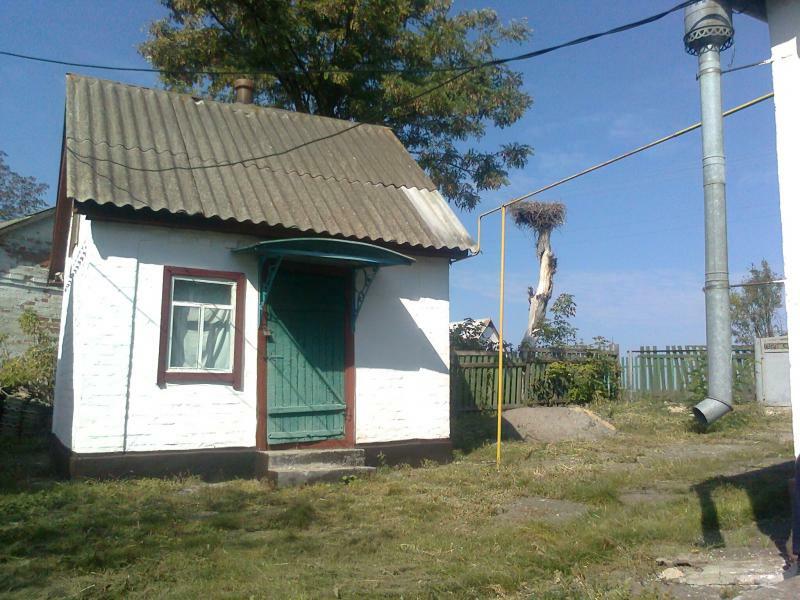 Черкасская обл., Тальновский район, с. Соколовочка, Вити Проценко ул., 12