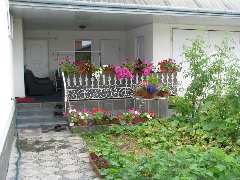 Черновицкая обл., Кицманский район, с. Мамаевцы, Молодежная ул., 53