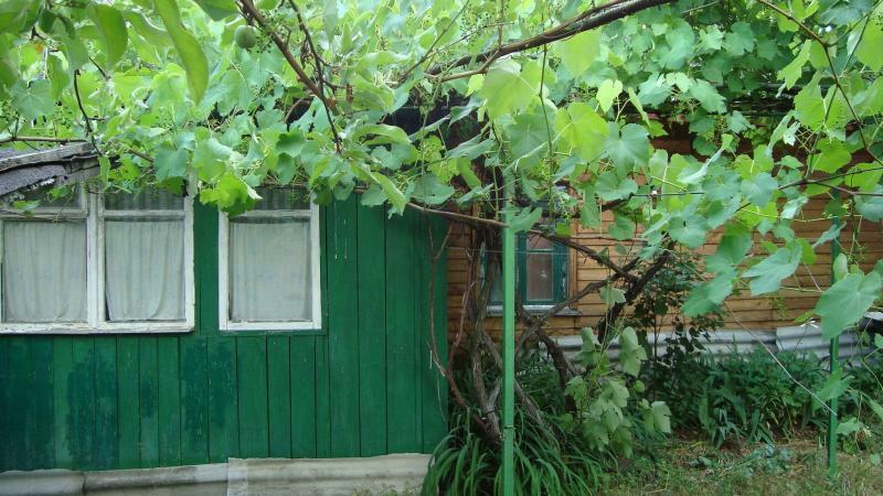 Черниговская обл., Козелецкий район, пгт Козелец, Ленина ул., 26