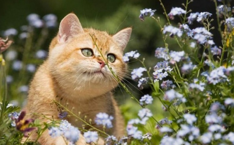 Какую погоду ждать украинцам на этой неделе