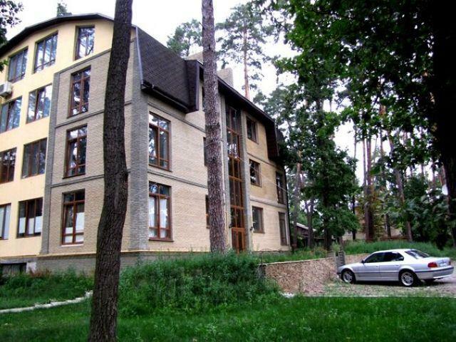 Київська обл., Бучанський район, м. Буча, Пушкінська вул., 1