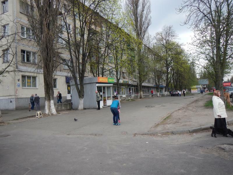 Киев, Игоря Турчина ул., 12В