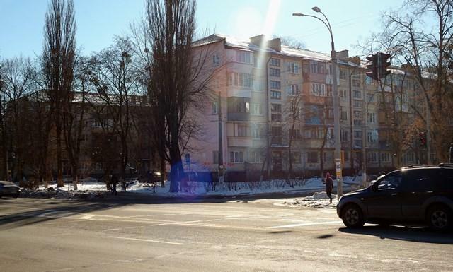 Киев, Игоря Турчина ул., 1/15