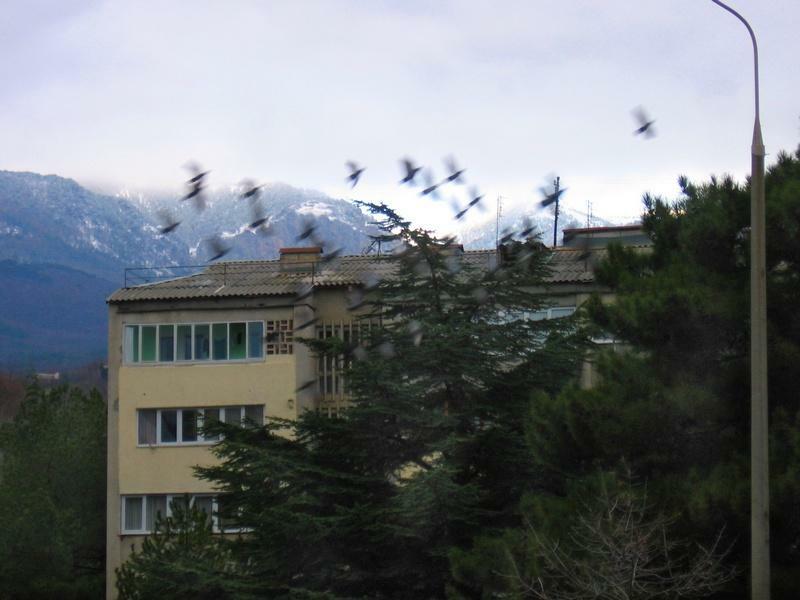 АР Крым обл., Большая Алушта район, пгт Партенит, Нагорная ул., 7