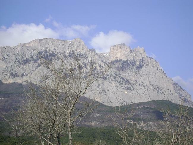 АР Крым обл., Большая Ялта район, г. Алупка, Виноградный спуск, 21