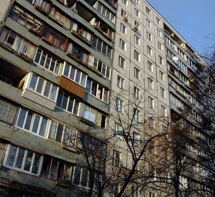 Київ, Андрія Малишко вул., 13А