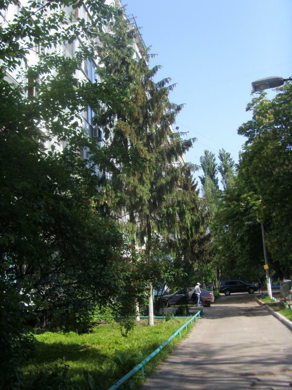 Київ, Данила Щербаківського вул., 49Д
