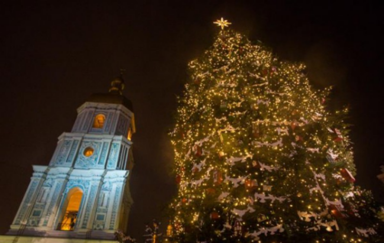 Все елки Киева: как выглядят главные новогодние деревья столицы (фото)