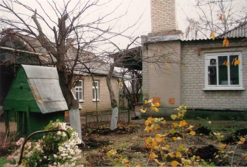 Донецька обл., Волновахський район, смт Донське, Торговая вул., 2А