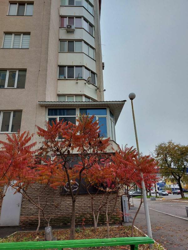 Київська обл., Бориспільський район, м. Бориспіль, Київський Шлях вул., 1Ж