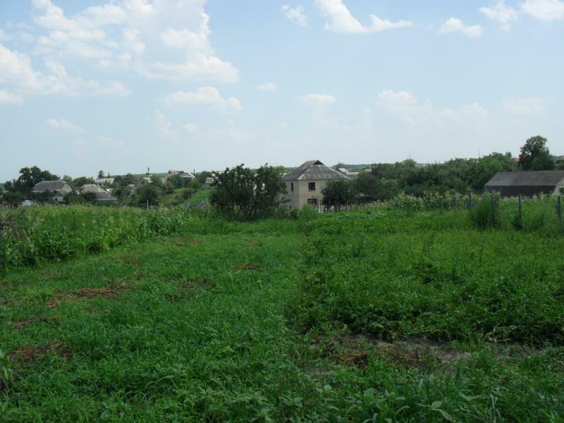 Київська обл., Києво-Святошинський район, с. Хотів, Олександра Суворова вул., 12