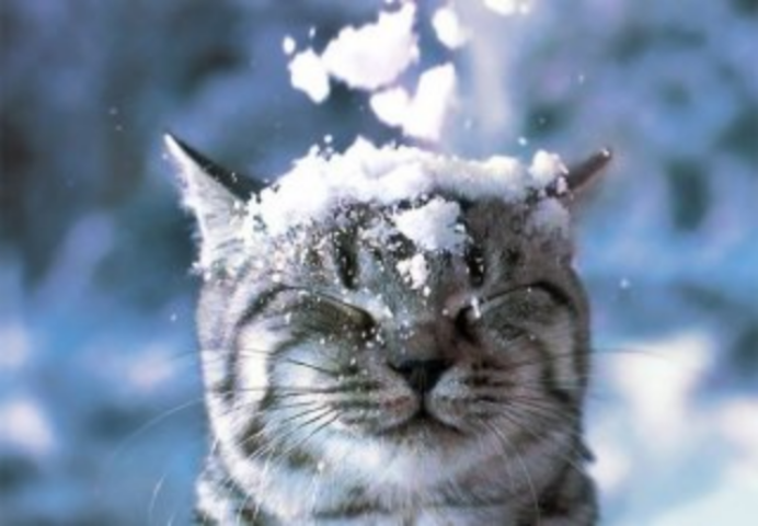 Прогноз погоды на декабрь: что ждет украинцев