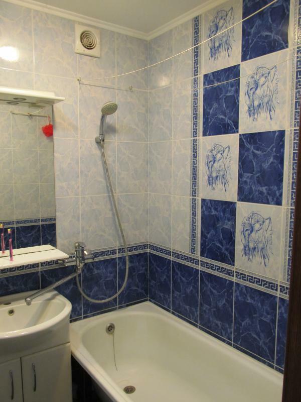 Київська обл., Бориспільський район, м. Бориспіль, Нижній Вал вул., 3