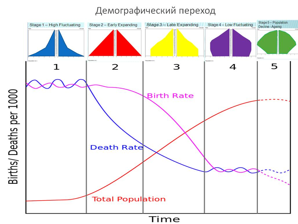 Теория демографического перехода схема. Теория демографического перехода график. Этапы демографического перехода. Схема демографического периода. Переход в 3 этапа