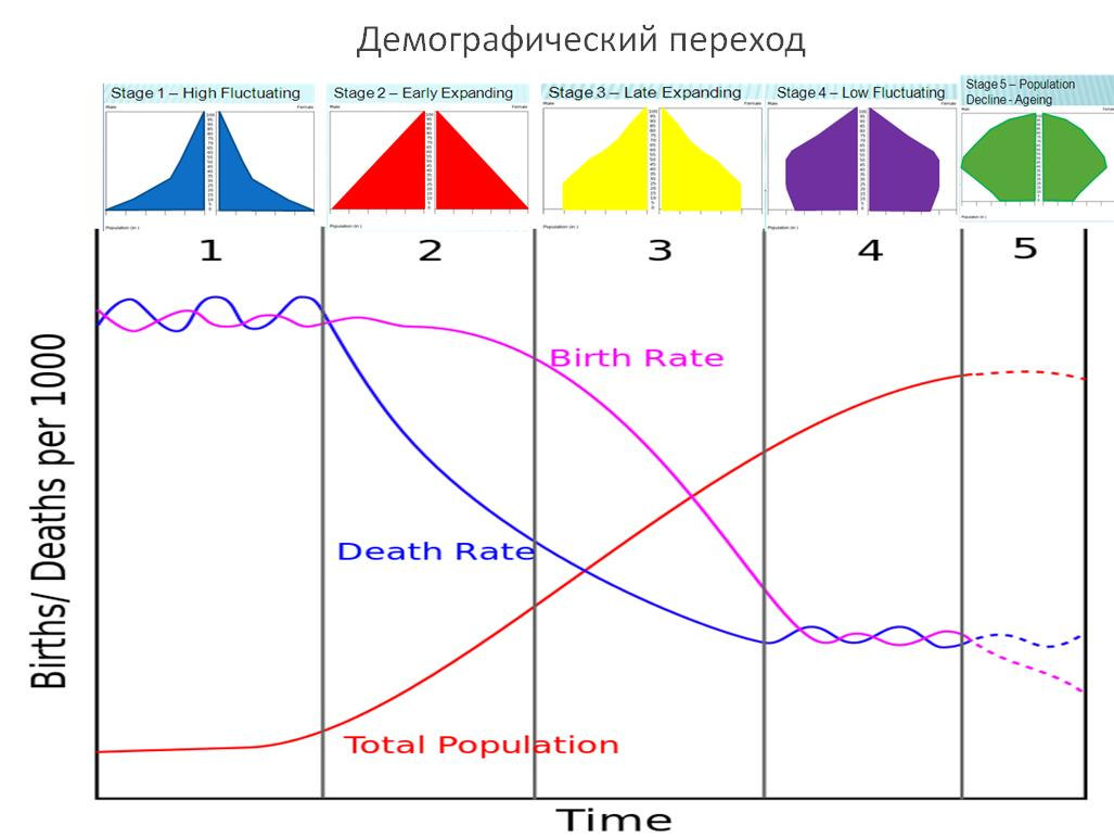 Демографический переход картинки