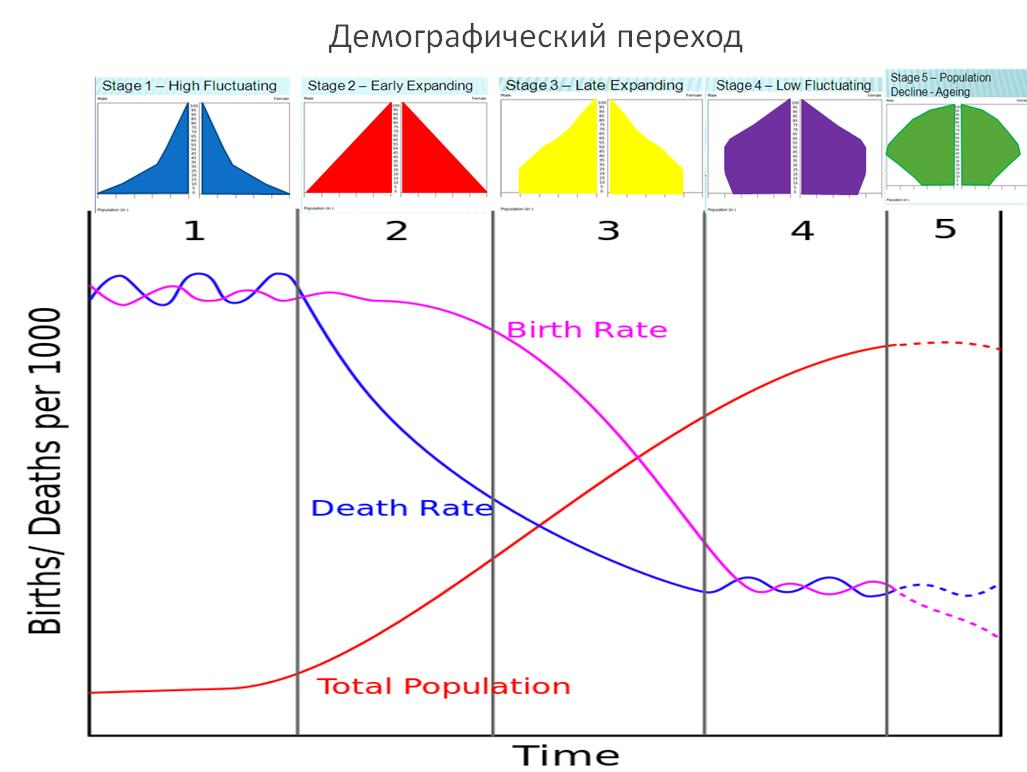 Теория демографического перехода. Демографический переход. Схема демографического перехода. Демографический переход график. Модель демографического перехода.