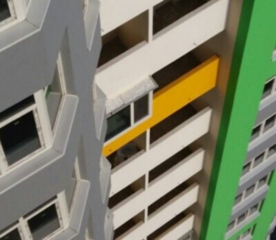 Один в поле воин: скандал в Парковой Веже