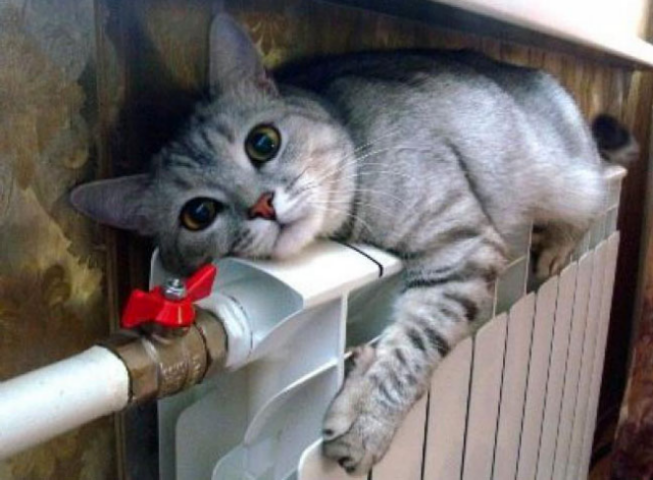 Минсоцполитики: украинцам стоит поторопиться за субсидиями