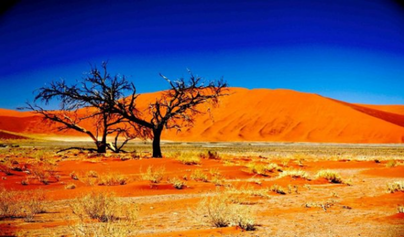 Куда поехать осенью: страны, которые становятся все более популярными