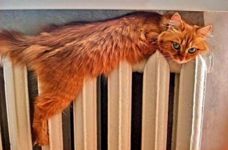 Когда начало отопительного сезона в столице