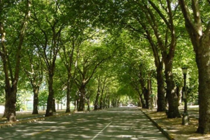  Список адресов где в Киеве появятся новые скверы