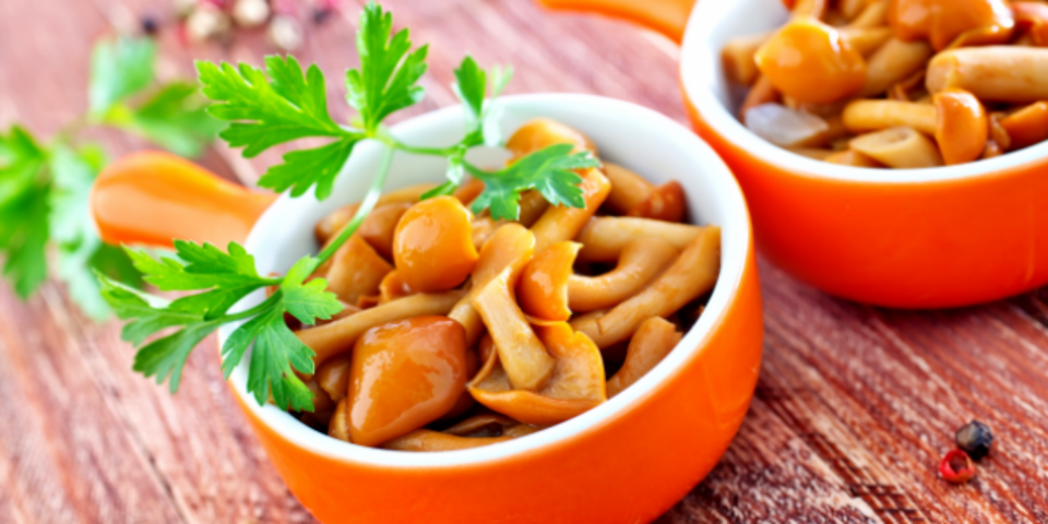 Грибные рецепты