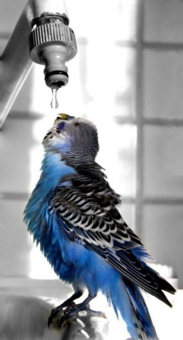 Кто в Киеве остался без горячей воды 21 августа