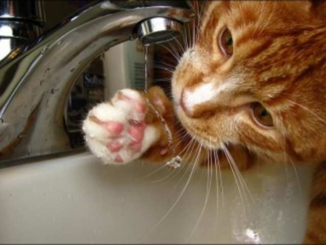 Отключение воды в Одессе 28 июля 