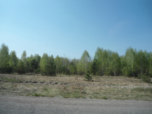 Продаж ділянки під ОСГ 1000 соток, Лесная ул.