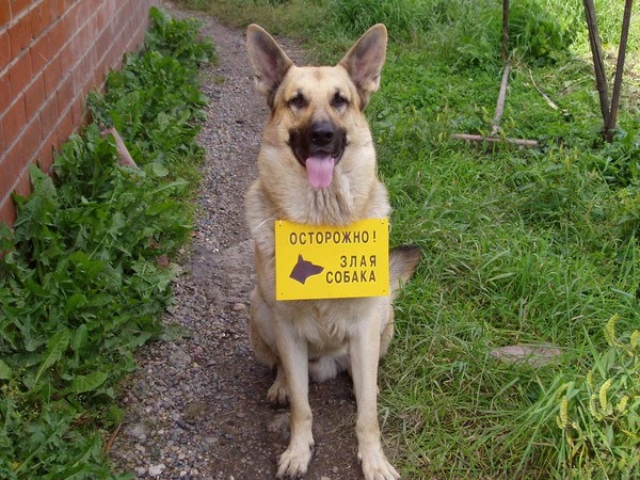 Злобные таблички