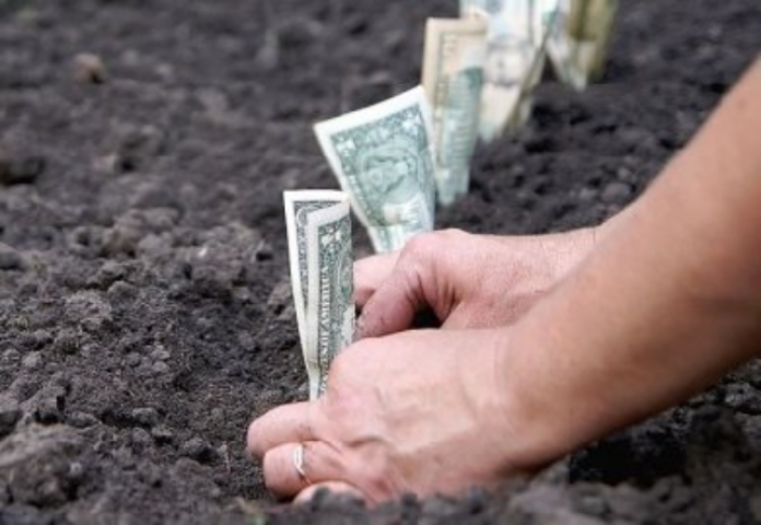 Новая декларация по плате за землю в Украине