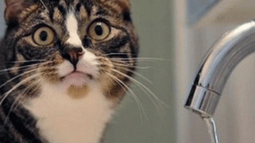 Отключения холодной воды в Харькове 26 июня