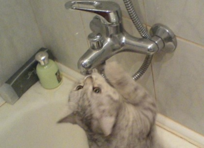 Отключение воды в Харькове 24 июня 