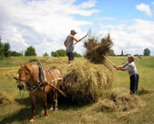 Чому Революція Гідності не змінила українське село