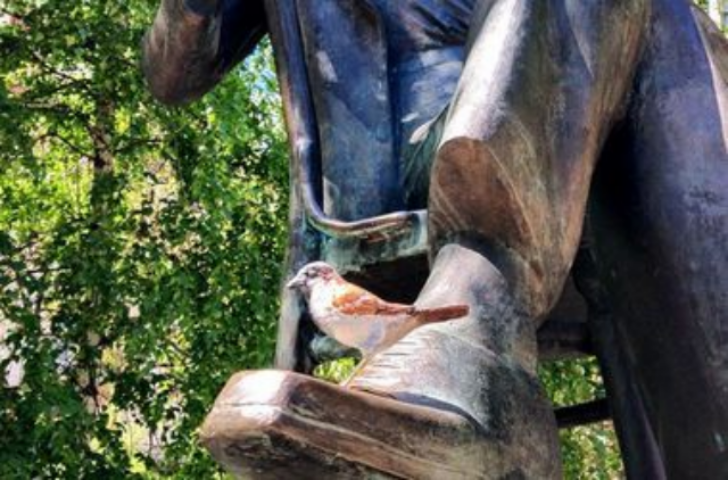 Киевский скульптор украшает город воробьями