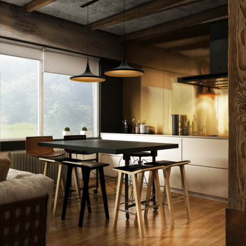 Живописный лофт дома в Киеве