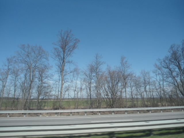 Продаж ділянки для приватного використання 1000 соток, Фасад ул.