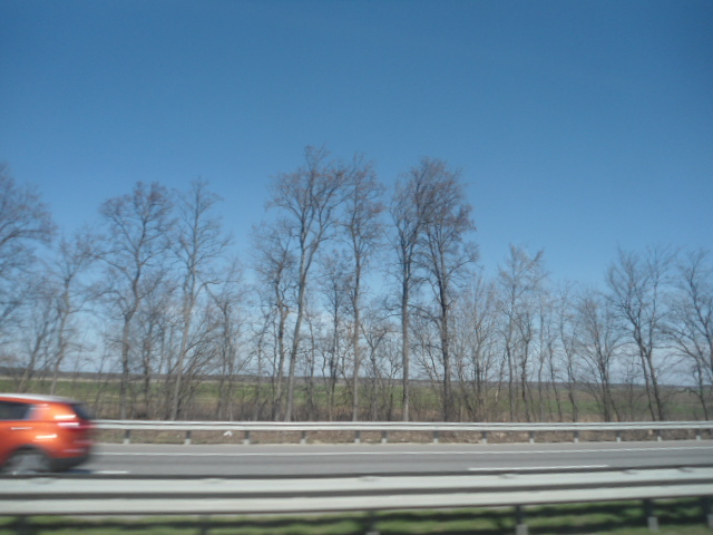 Продаж ділянки для приватного використання 1000 соток, Фасад ул.