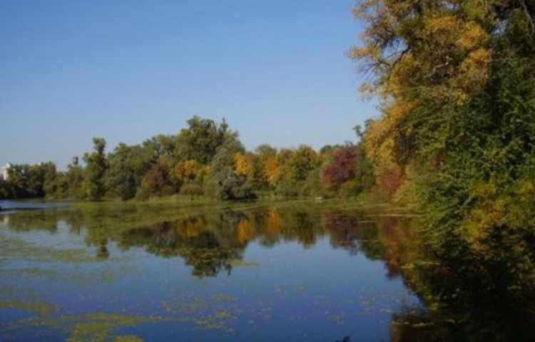 Генпрокуратура відсудила 65 га в заказнику, де Юра Єнакіївський будував “Межигір’я-2»