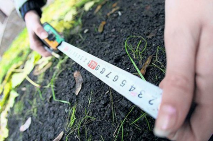 Земля без органа