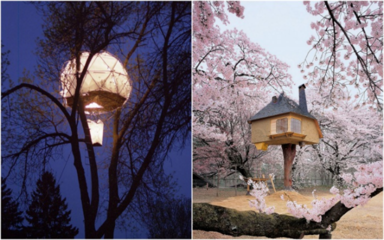 15 самых удивительных экологичных и комфортных домиков на деревьях