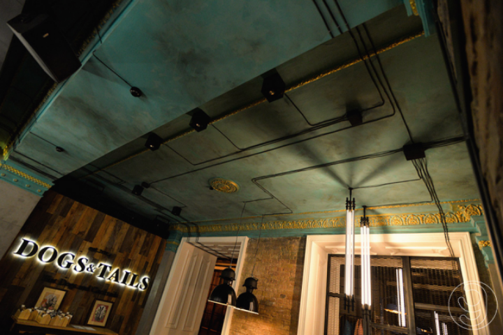 Dogs&Tails новое место в Киеве