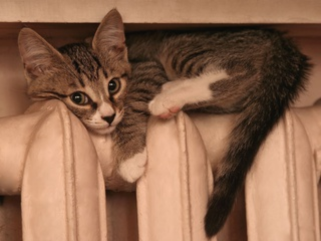 Киевляне остались без горячей воды