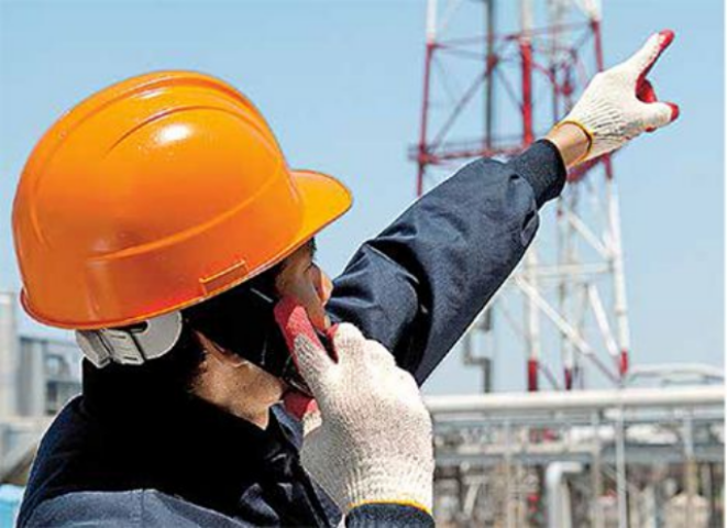 Большая средиземноморская давка