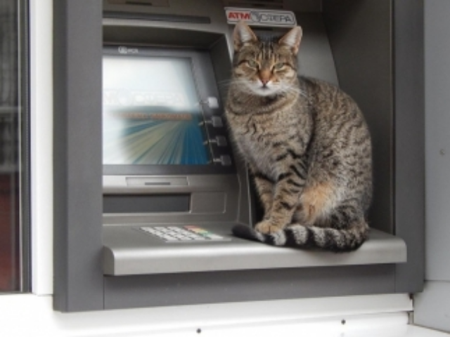 Украинских вкладчиков успокаивают полными банкоматами и ростом ставок